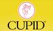 Cupid Limited further strengthens Board with appointment of Four New Directors